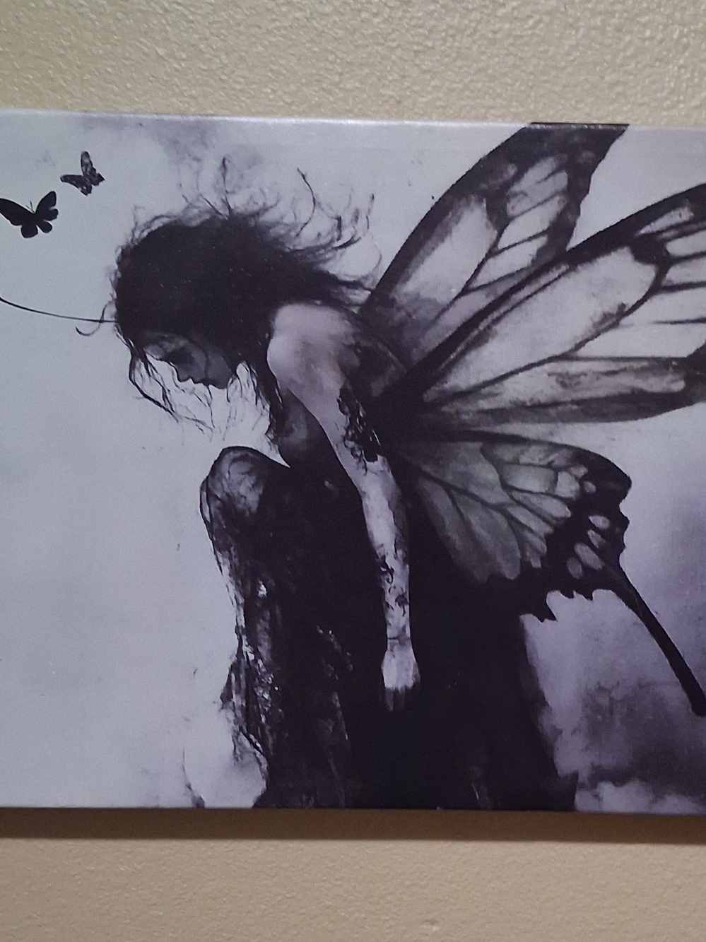 Beautiful Fairie Canvas Framed Print